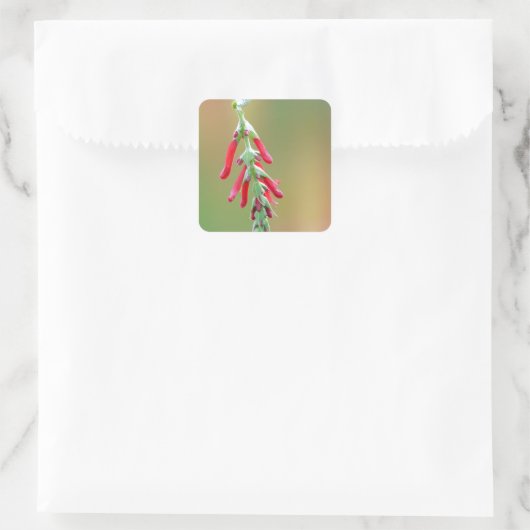 Pineapple Sage Bloom Vierkante Sticker (Tas)