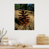 pinecon poster (Keuken)