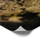 pinecon poster (Hoek)