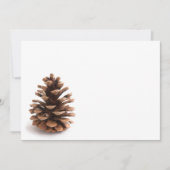 Pinecone (Voorkant)