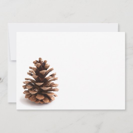 Pinecone (Voorkant)