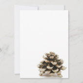 Pinecone (Voorkant)