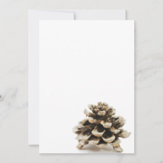Pinecone (Voorkant)