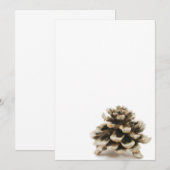 Pinecone (Voorkant / Achterkant)