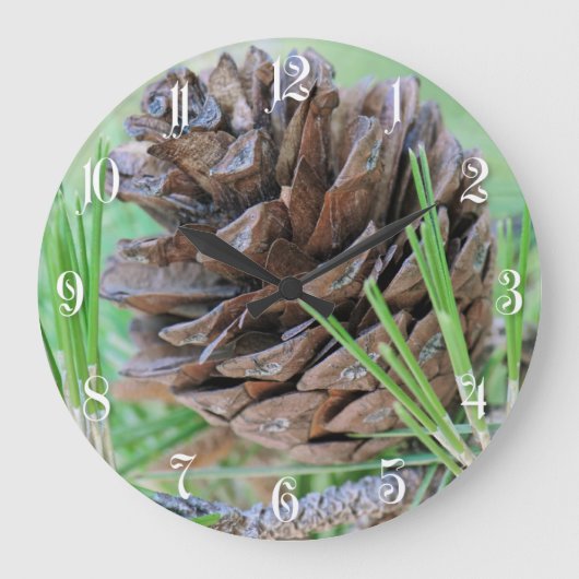 Pinecone Grote Klok (Voorkant)