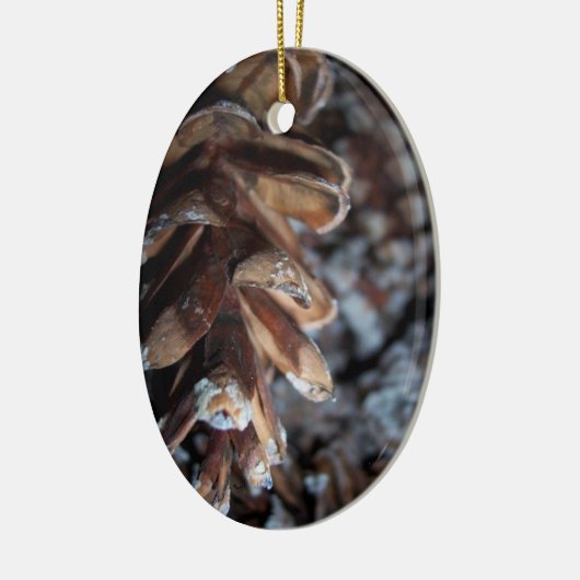 Pinecone Keramisch Ornament (Links)