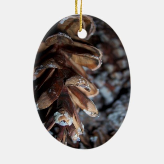 Pinecone Keramisch Ornament (Achterkant)
