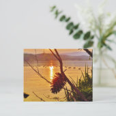 Pinecone Lake sunset Briefkaart (Staand voorkant)