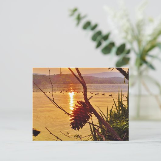 Pinecone Lake sunset Briefkaart (Staand voorkant)