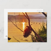 Pinecone Lake sunset Briefkaart (Voorkant / Achterkant)