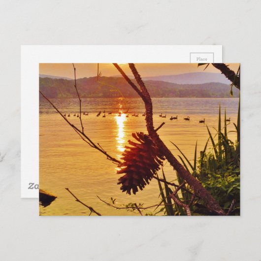Pinecone Lake sunset Briefkaart (Voorkant / Achterkant)