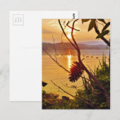 Pinecone Lake sunset Briefkaart (Voorkant / Achterkant)