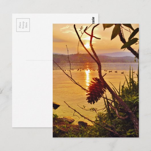 Pinecone Lake sunset Briefkaart (Voorkant / Achterkant)