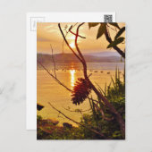 Pinecone Lake sunset Briefkaart (Voorkant / Achterkant)