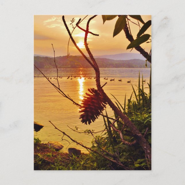 Pinecone Lake sunset Briefkaart (Voorkant)