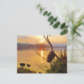 Pinecone Lake sunset Briefkaart (Staand voorkant)