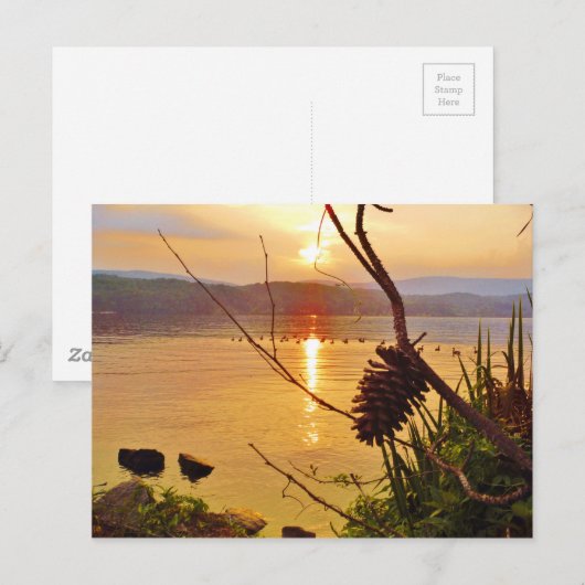 Pinecone Lake sunset Briefkaart (Voorkant / Achterkant)