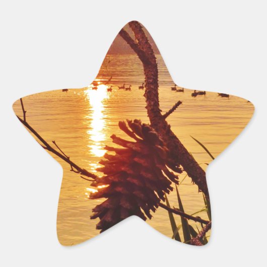Pinecone Lake sunset Ster Sticker (Voorkant)