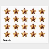 Pinecone Lake sunset Ster Sticker (Vel)