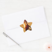 Pinecone Lake sunset Ster Sticker (Envelop)