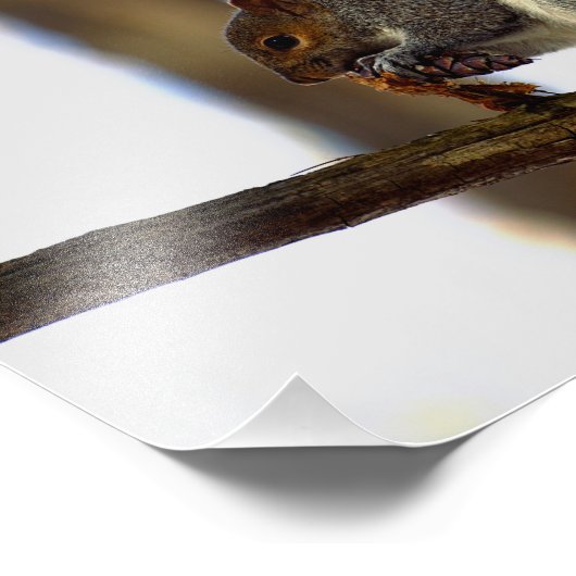 pinecone-mijn-kegel foto afdruk (Hoek)