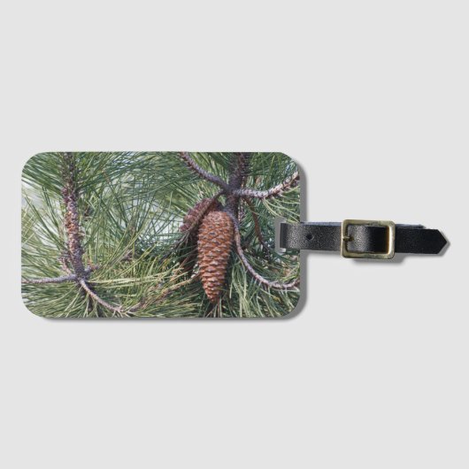 Pinecone op de dennenboom bagagelabel (Voorkant (horizontaal))