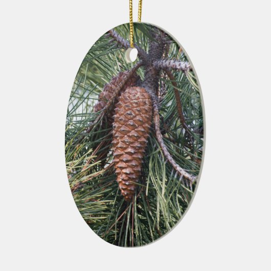 Pinecone op de dennenboom keramisch ornament (Links)