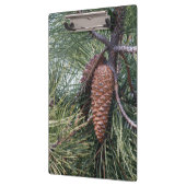 Pinecone op de dennenboom klembord (Links)
