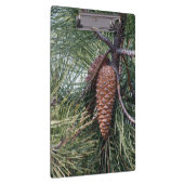 Pinecone op de dennenboom klembord (Rechts)