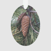 Pinecone op de dennenboom ornament (achterkant)