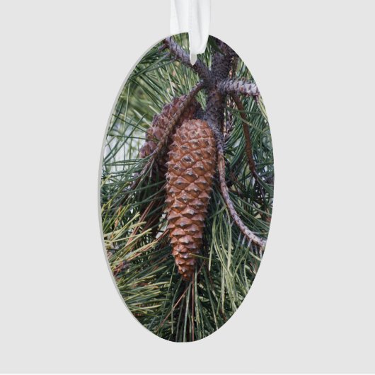 Pinecone op de dennenboom ornament (voorkant)