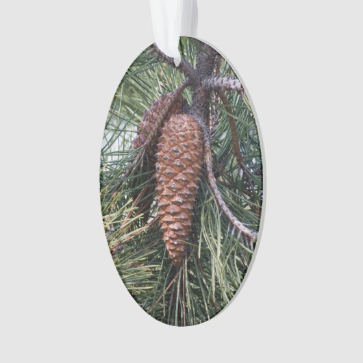 Pinecone op de dennenboom ornament (voorkant)