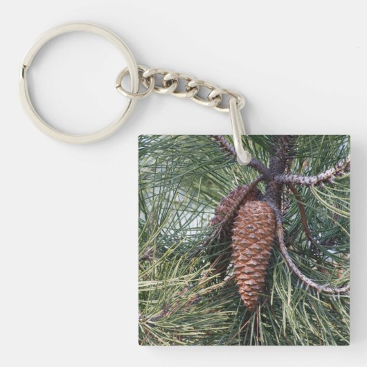 Pinecone op de dennenboom sleutelhanger (Voorkant)
