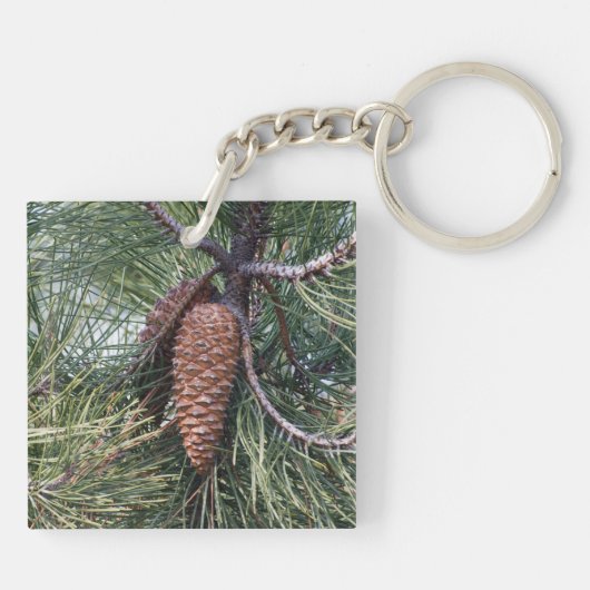Pinecone op de dennenboom sleutelhanger (Achterkant)