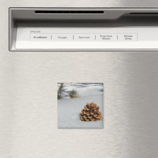 Pinecone op de Sneeuwmagneet Magneet (Insitu (Vaatwasser))