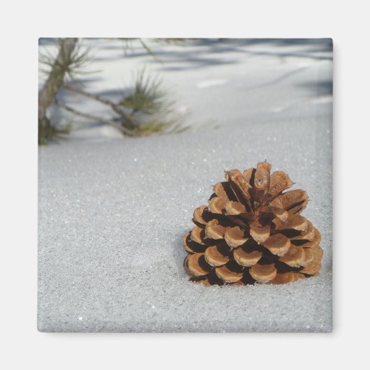 Pinecone op de Sneeuwmagneet Magneet (Voorkant)