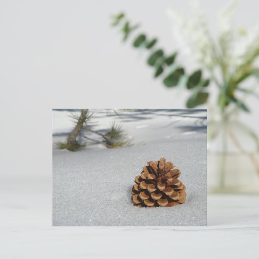 Pinecone op het sneeuwBriefkaart Briefkaart (Staand voorkant)