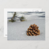 Pinecone op het sneeuwBriefkaart Briefkaart (Voorkant / Achterkant)