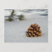 Pinecone op het sneeuwBriefkaart Briefkaart (Voorkant)