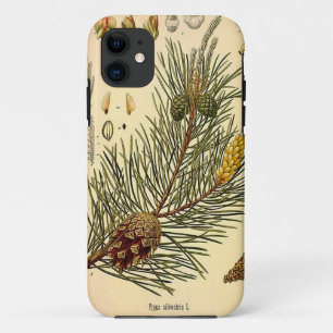 Pinecone Pine Tree  Botanisch afdrukken Case-Mate iPhone Case
