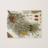 Pinecone Pine Tree  Botanisch afdrukken Legpuzzel (Horizontaal)
