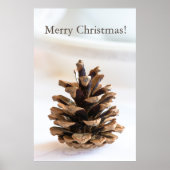 Pinecone Poster (Voorkant)