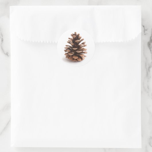 Pinecone Ronde Sticker (Tas)