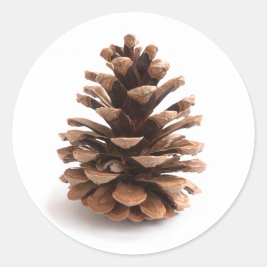 Pinecone Ronde Sticker (Voorkant)