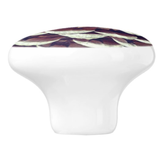 Pinecone rustic natuur herfst winter keramische knop (Zijkant)