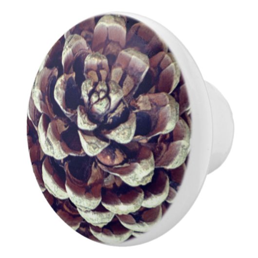 Pinecone rustic natuur herfst winter keramische knop (Rechts)