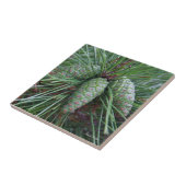 Pinecone Small Square Tile Tegeltje (Zijkant)