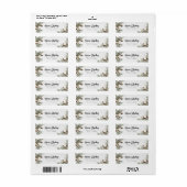 Pinecone Spruce Return-adreslabel Etiket (Full Sheet)