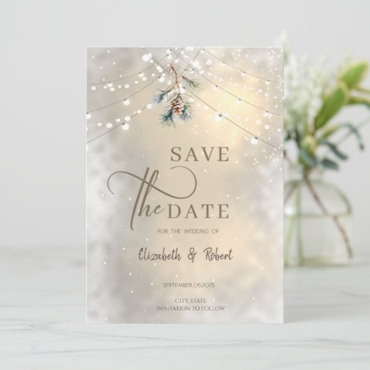 Pinecone String Lights Winter Wedding Save The Dat Save The Date (Staand voorkant)