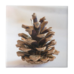 Pinecone Tegeltje